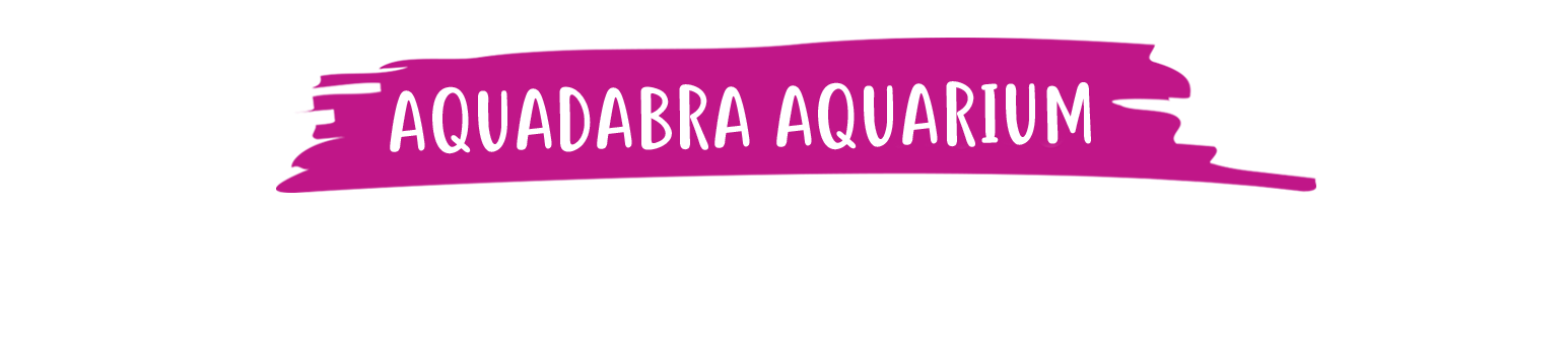 aquacadabra aquarium toy